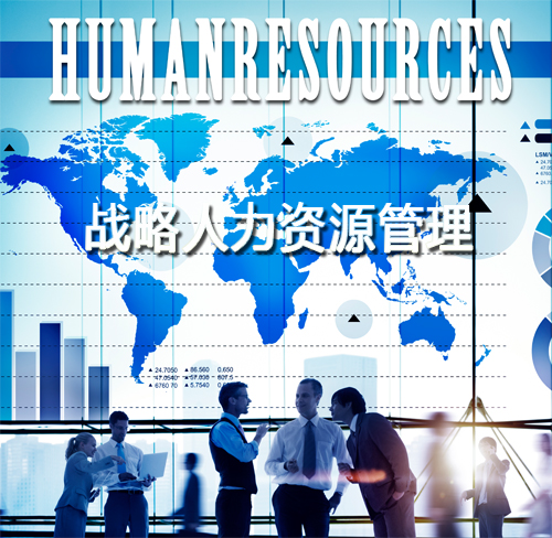 战略人力资源管理10
